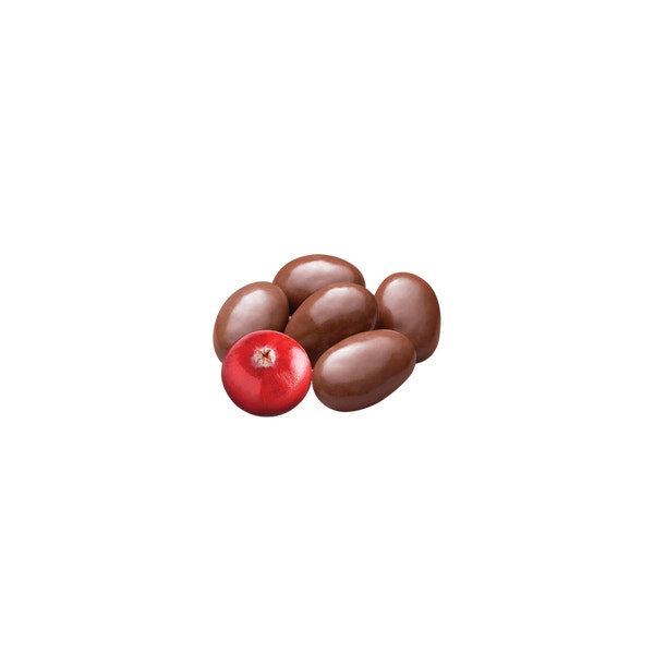 Turin Arándano Cubierto de Chocolate Semiamargo. A granel